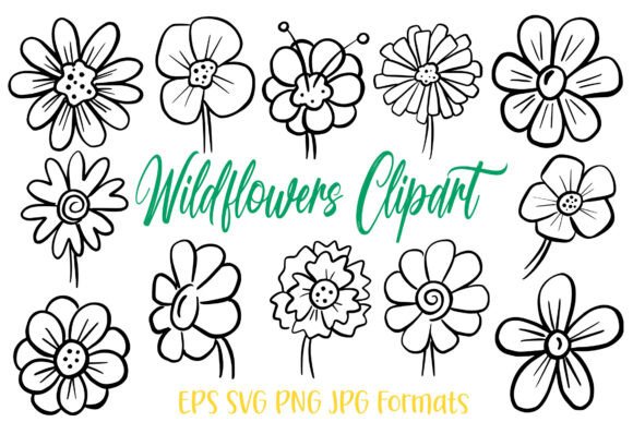 Spring Flower Illustration Wildflowers: Your Design Toolkit