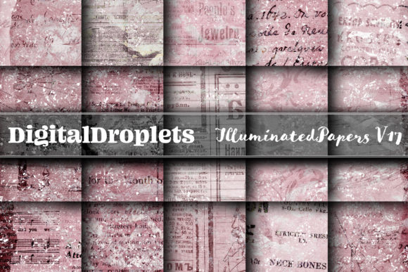 Unveiling the Illuminated Papers Vol. 17 Collection